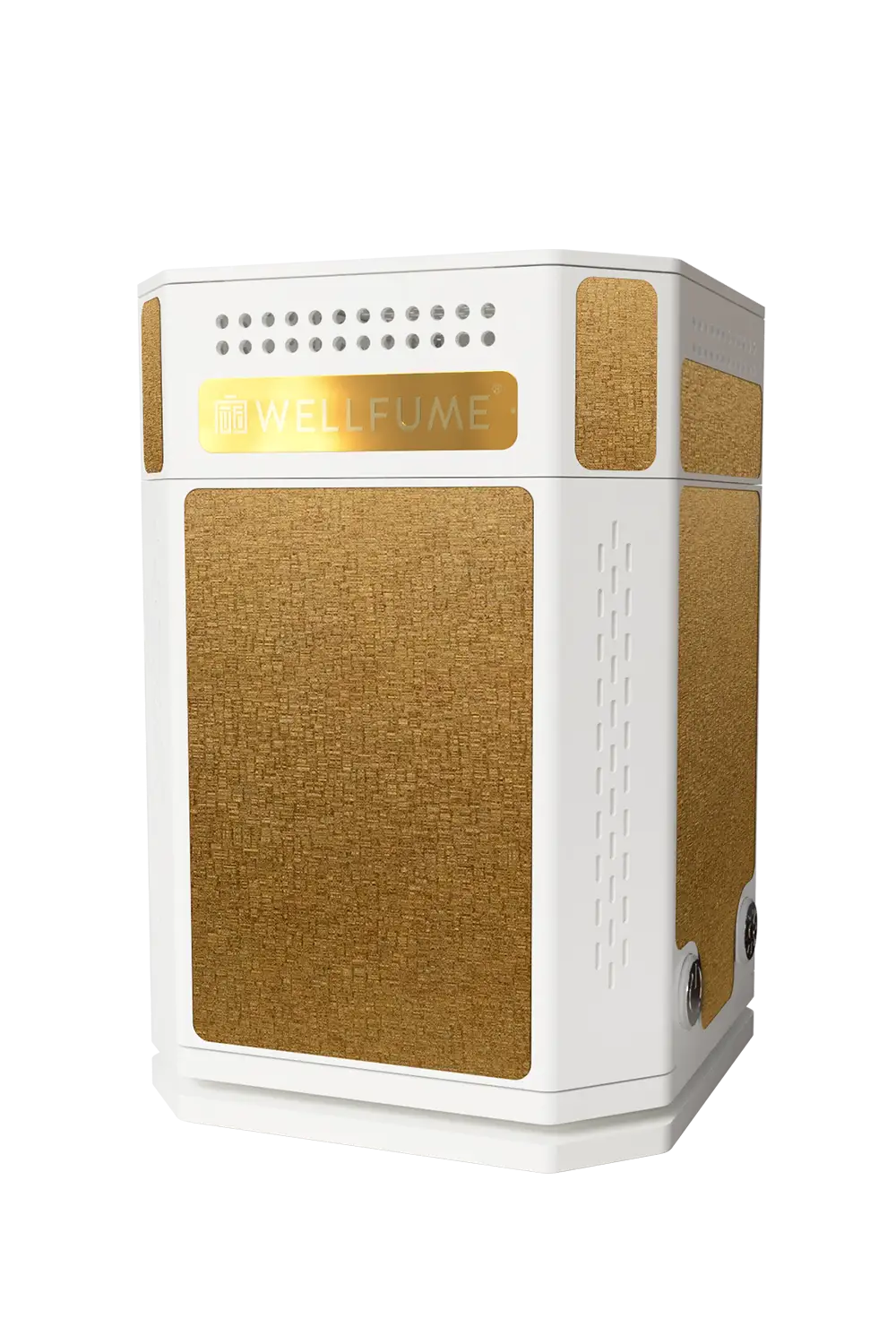 Wellfume AC 70 T gold